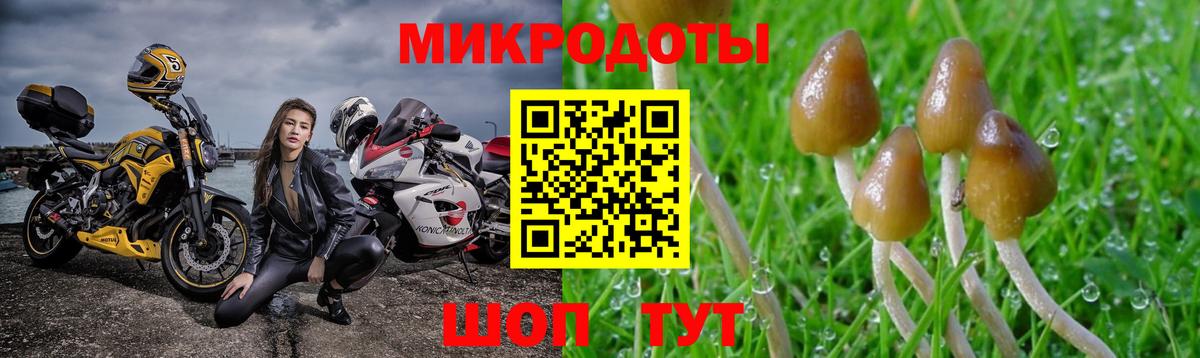 Новосибирск  Галлюциногенные грибы Magic Shrooms  Вход с VPN  Галлюциногенные грибы Psilocybe 
