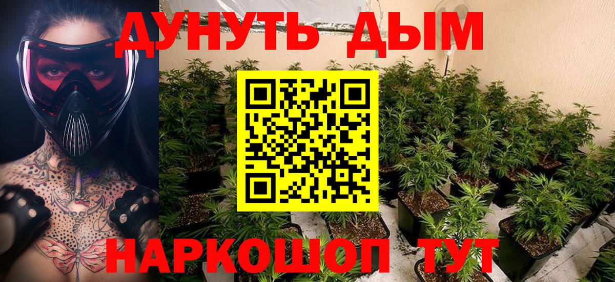 Новосибирск  Каннабис план  Канабис Amnesia  Вход с VPN  Марихуана VHQ 